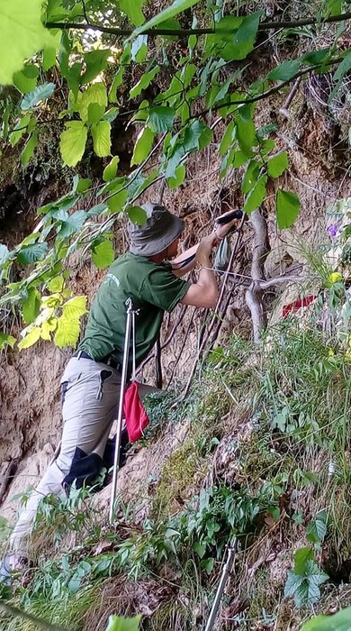 Zimorodek WPK 09.07.2018