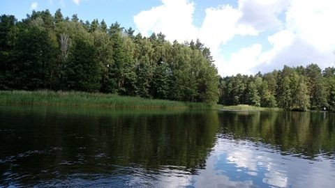 Zimorodek WPK 09.07.2018