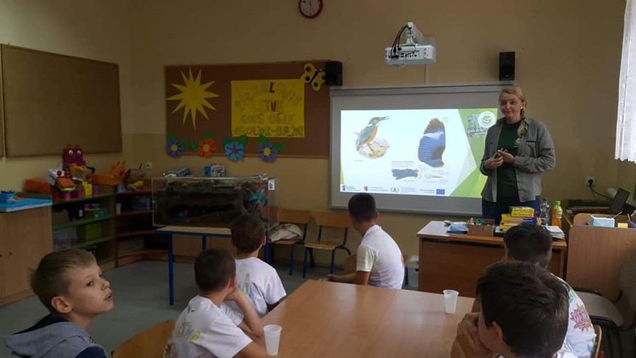 Zimorodek WPK 23.07.2018