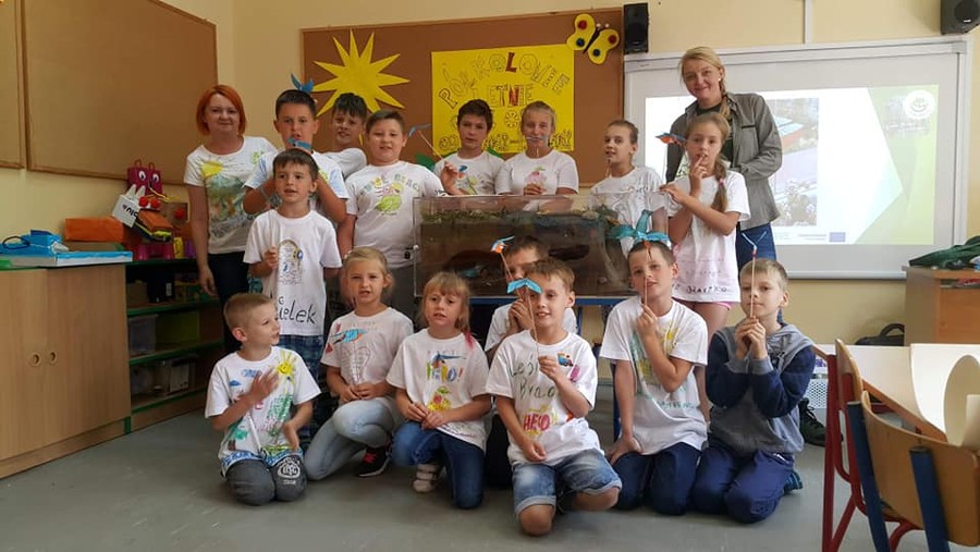 Zimorodek WPK 23.07.2018