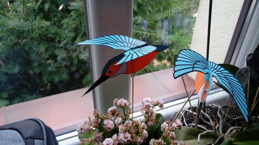 Zimorodek WPK 23.07.2018