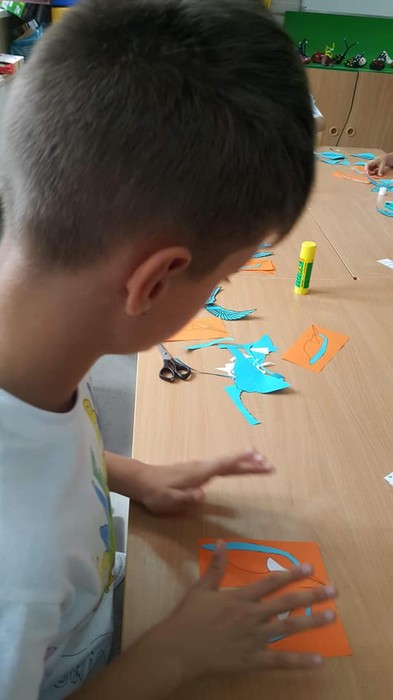 Zimorodek WPK 23.07.2018