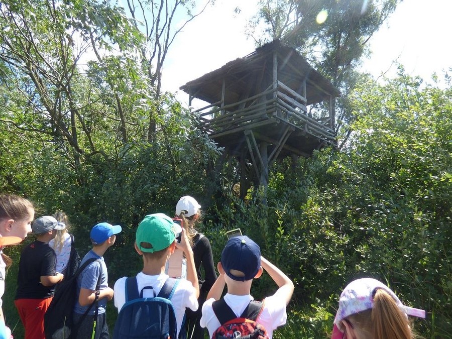 Wakacyjne warsztaty ekologiczne GWPK 02.08.2018