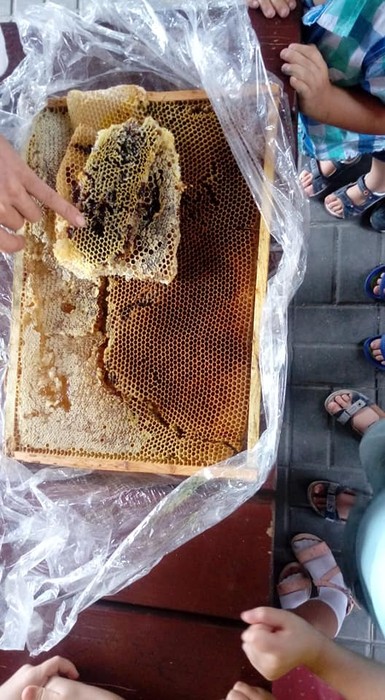 Wielki Dzień Pszczół - WPK 10.08.2018