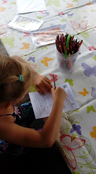 Wielki Dzień Pszczół - WPK 10.08.2018