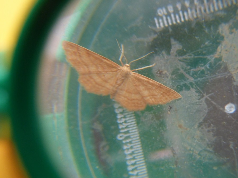 Wakacyjne warsztaty ekologiczne