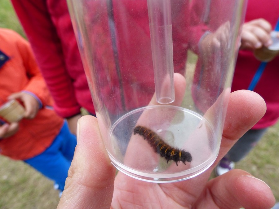 Wakacyjne warsztaty ekologiczne