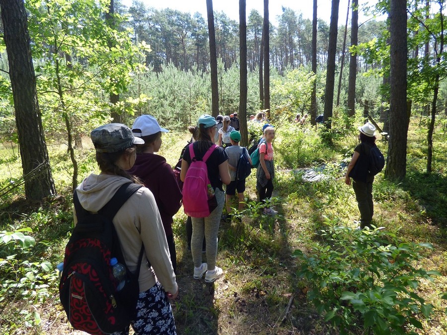 Wakacyjne warsztaty ekologiczne