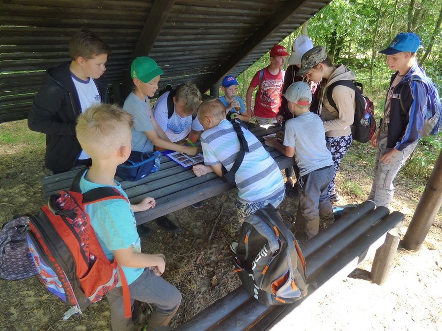 Wakacyjne warsztaty ekologiczne