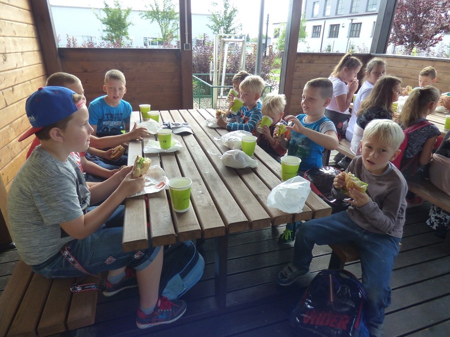 Wakacyjne warsztaty ekologiczne