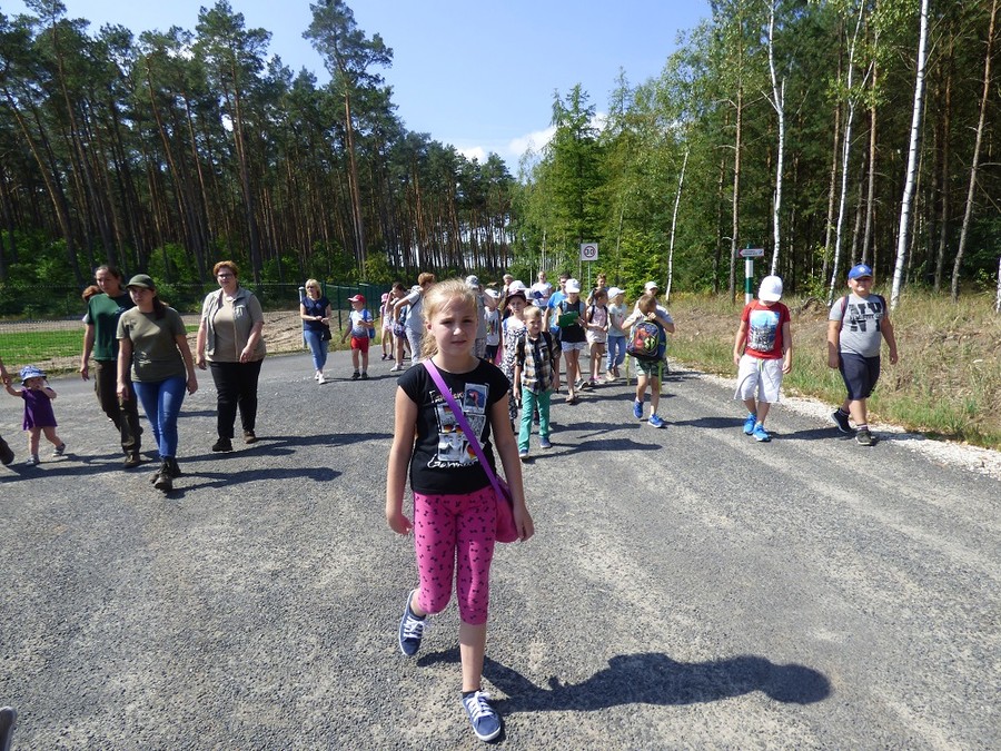 Wakacyjne warsztaty ekologiczne