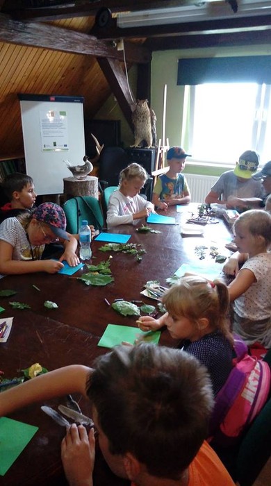 Wakacyjne warsztaty ekologiczne - WPK 28.08.2018