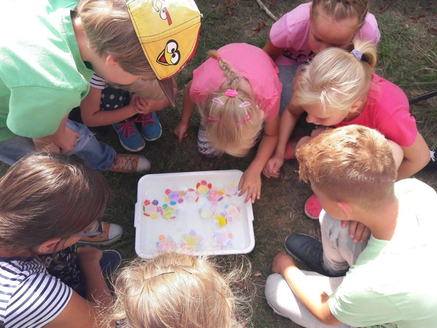 Wakacyjne warsztaty ekologiczne - WPK 28.08.2018