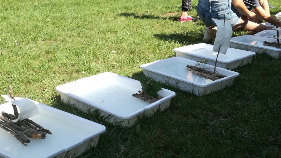 Wakacyjne warsztaty ekologiczne - WPK 28.08.2018