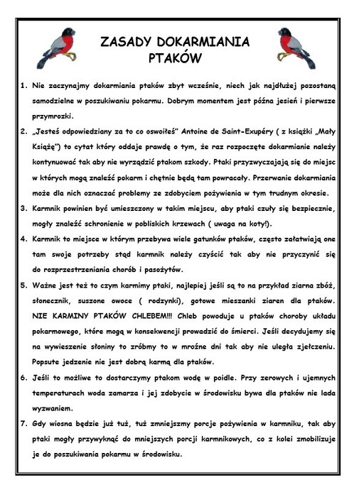 Dokarmianie ptaków
