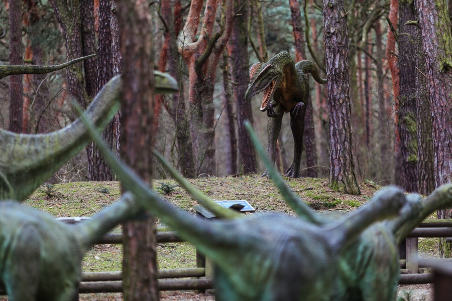 Zwiedzanie JuraParku w Solcu Kujawskim, fot. Filip Kowalkowski