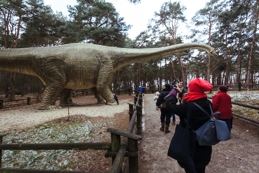 Zwiedzanie JuraParku w Solcu Kujawskim, fot. Filip Kowalkowski