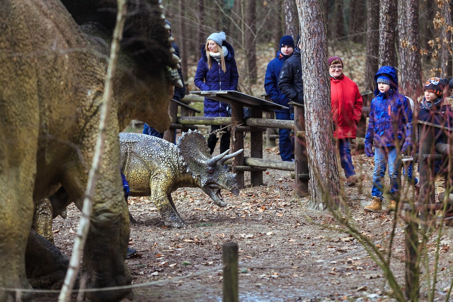 Zwiedzanie JuraParku w Solcu Kujawskim, fot. Filip Kowalkowski