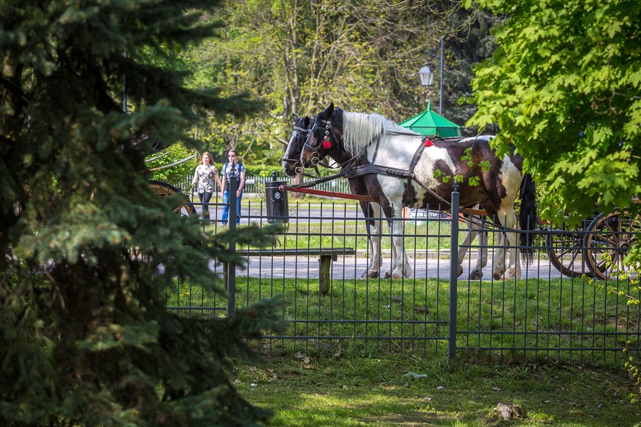 Pierwszy majowy weekend w Ciechocinku, fot. Szymon Zdziebło/tarantoga.pl