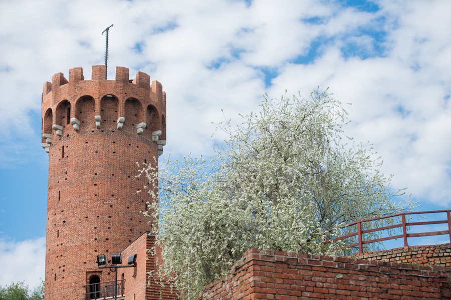Zamek krzyżacki w Świeciu, fot. Łukasz Piecyk