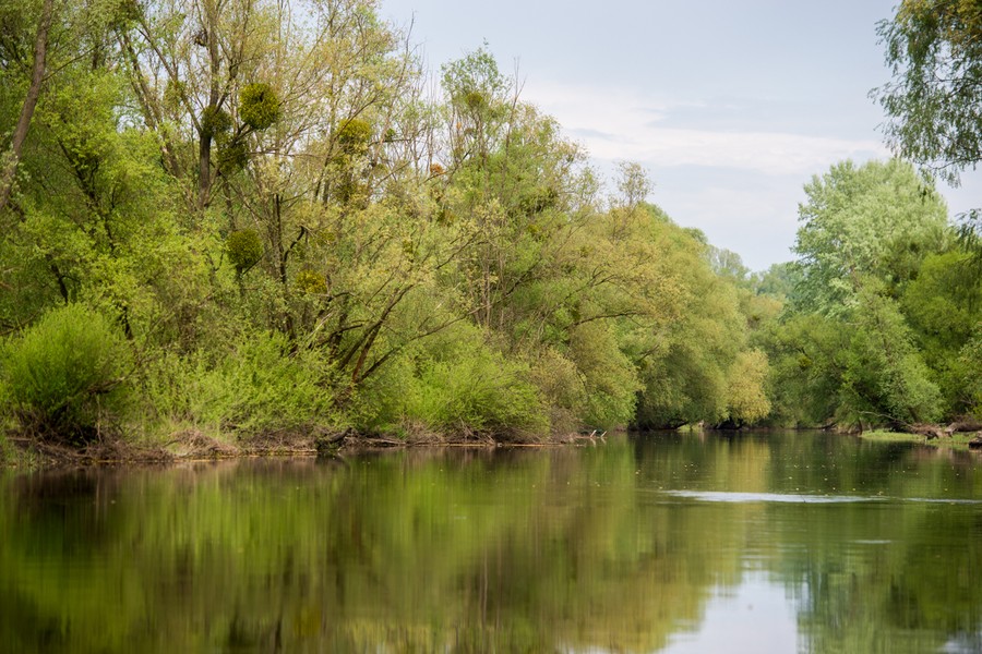 Wiosna na Kujawach i Pomorzu, fot. Łukasz Piecyk