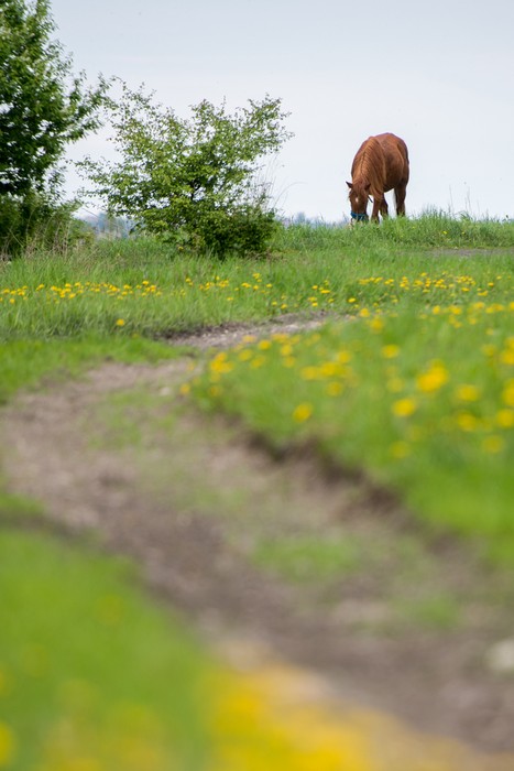 Wiosna na Kujawach i Pomorzu, fot. Łukasz Piecyk