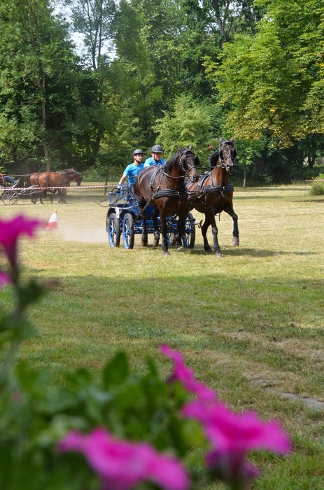 XXIV Konkursu Pojazdów Konnych fot. Pałac Lubostroń