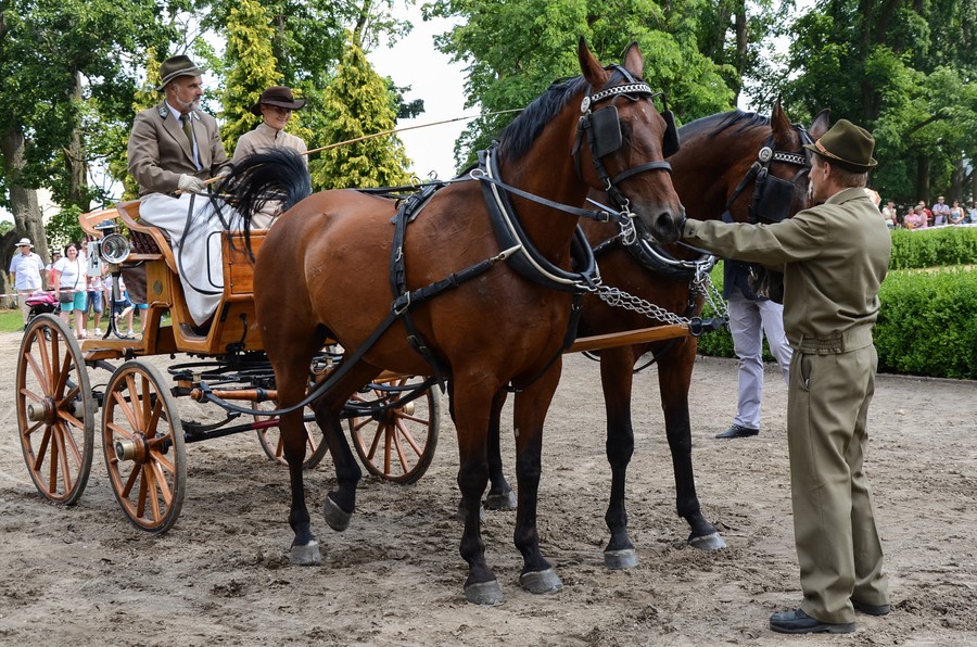 XXIV Konkursu Pojazdów Konnych fot. Pałac Lubostroń
