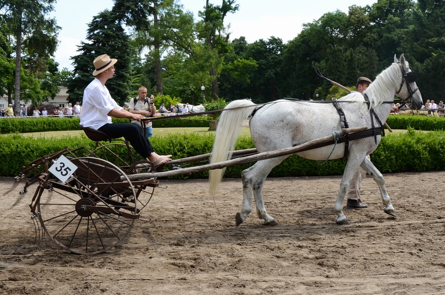 XXIV Konkursu Pojazdów Konnych fot. Pałac Lubostroń