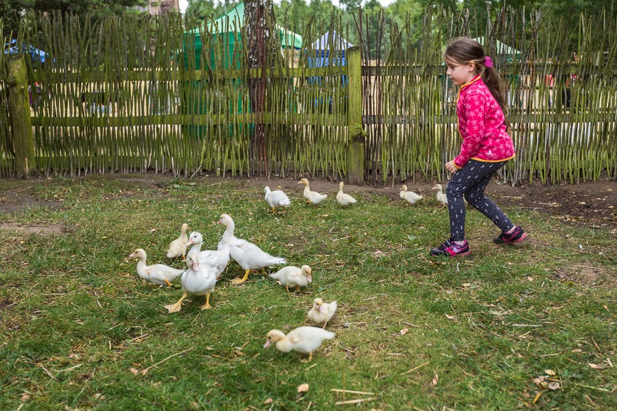 Festyn folklorystyczny z cyklu „Z życia dawnej wsi” w Kujawsko-Dobrzyńskim Parku Etnograficznym w Kłóbce, fot. Szymon Zdziebło/Tarantoga.pl