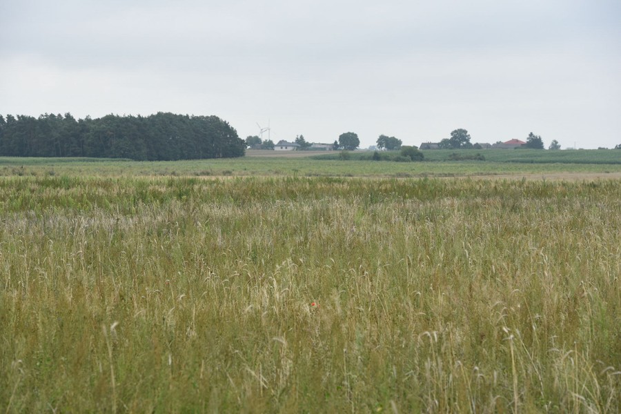 Brzeska Strefa Gospodarcza – tu powstanie wielkie centrum logistyczne LPP; Fot. Łukasz Piecyk dla UMWKP
