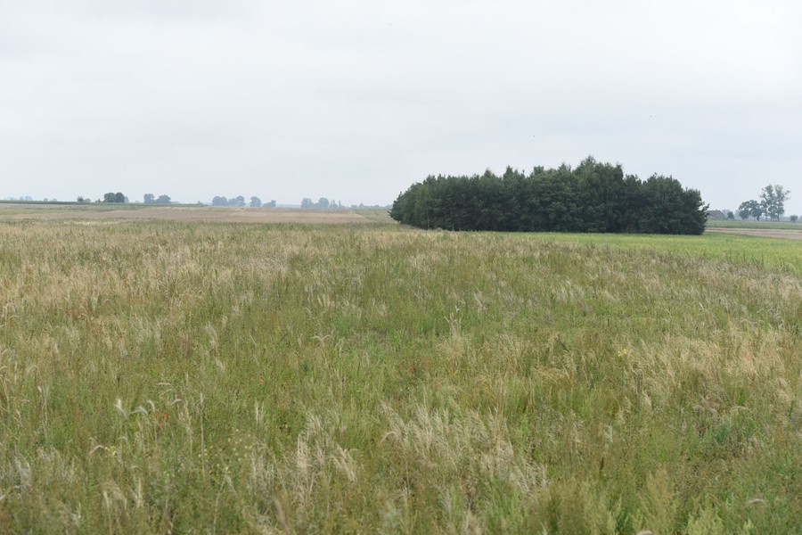 Brzeska Strefa Gospodarcza – tu powstanie wielkie centrum logistyczne LPP; Fot. Łukasz Piecyk dla UMWKP