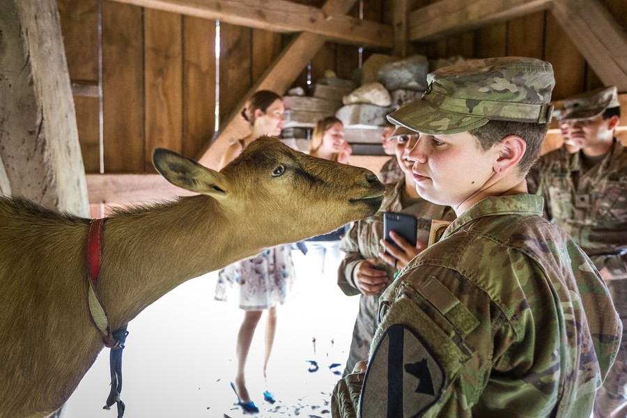Wizyta żołnierzy z USA w gminie Łubianka, fot. Szymon Zdziebło/Tarantoga.pl