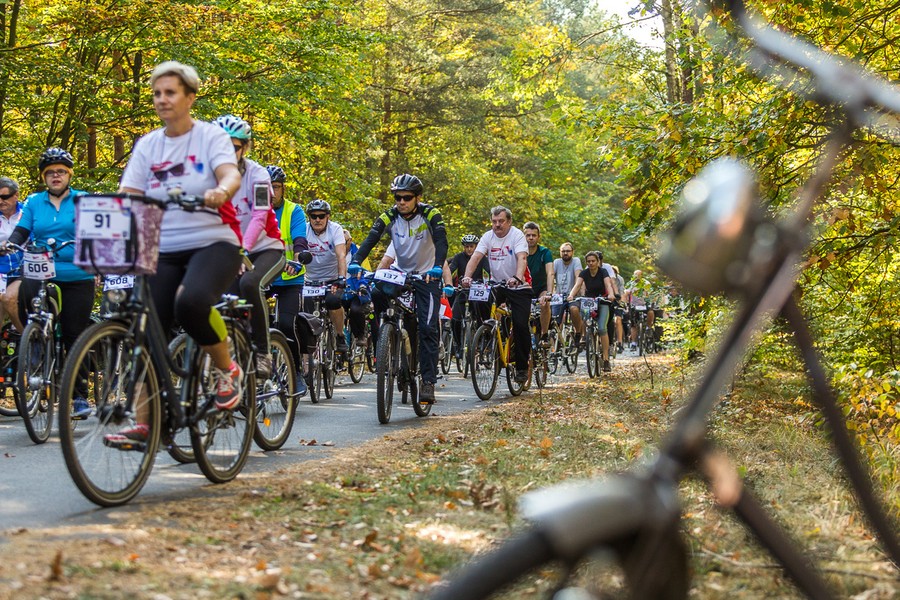 Rajd rowerowy w Toruniu, fot. Szymon Zdziebło/Tarantoga.pl