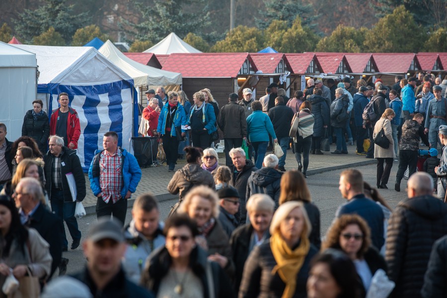 Kujawsko-Pomorski Festiwal Gęsiny w Przysieku, fot. Łukasz Piecyk