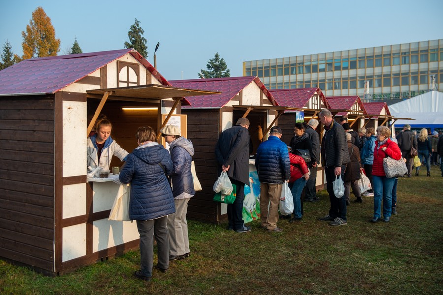 Kujawsko-Pomorski Festiwal Gęsiny w Przysieku, fot. Łukasz Piecyk