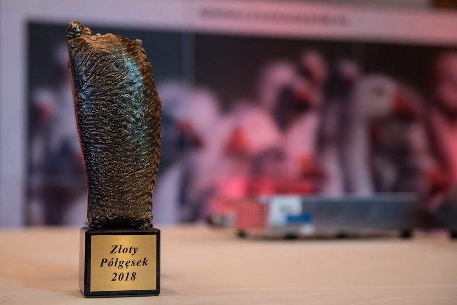 Kujawsko-Pomorski Festiwal Gęsiny w Przysieku, fot. Łukasz Piecyk