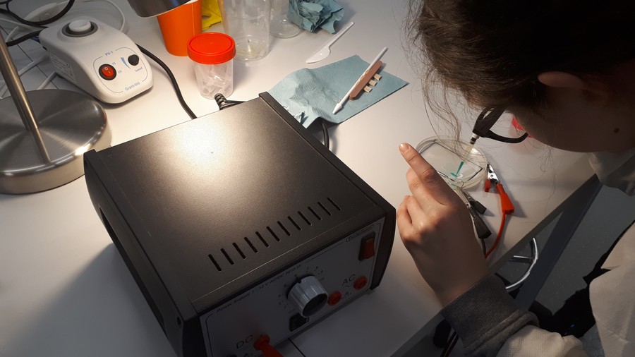 Ostatni etap elektroforezy DNA w CN Młyn Wiedzy w wykonaniu uczennicy ZS 33 w Bydgoszczy, fot. Katarzyna Stalinska