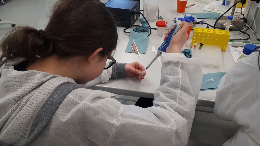 Uczennica ZS 33 w Bydgoszczy pracuje w pracowni biologicznej CN Młyn Wiedzy, fot. Katarzyna Stalinska