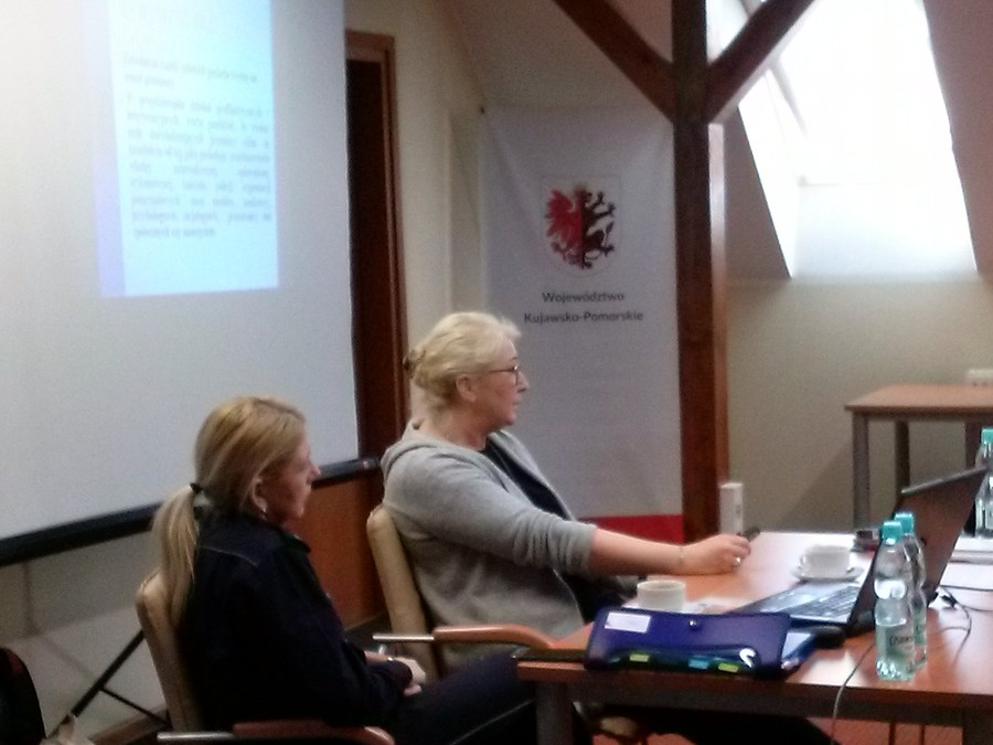 Szkolenie „Przeciwdziałanie przemocy w rodzinie – zagadnienia elementarne”, Włocławek, 20.03.2019 r., fot. Biuro Wsparcia Rodziny i Przeciwdziałania Przemocy