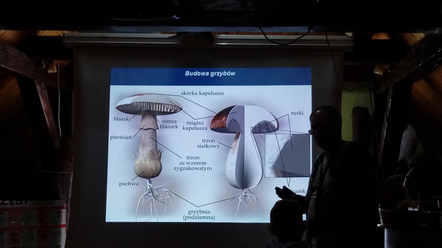 Szkolenie mykologiczne 28.09.2019 r. WPK