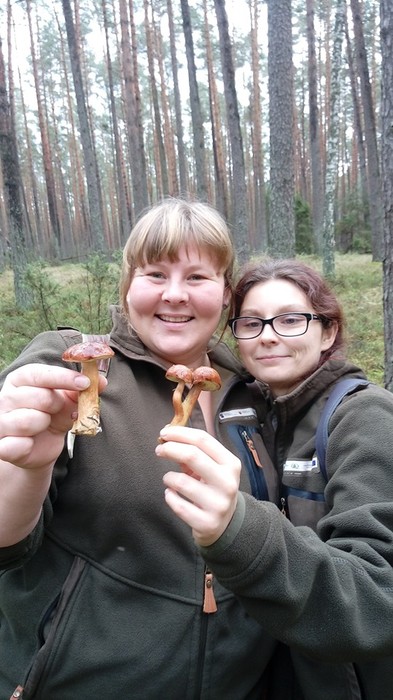 Szkolenie mykologiczne 28.09.2019 r. WPK