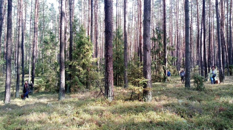 Szkolenie mykologiczne 28.09.2019 r. WPK