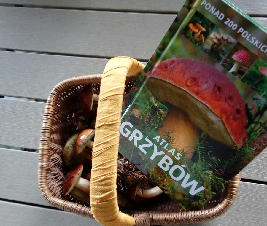 Szkolenie mykologiczne 28.09.2019 r. WPK