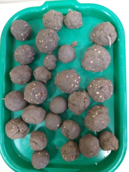 Zajęcia z Edukatorem - 12.11.2019 KPK