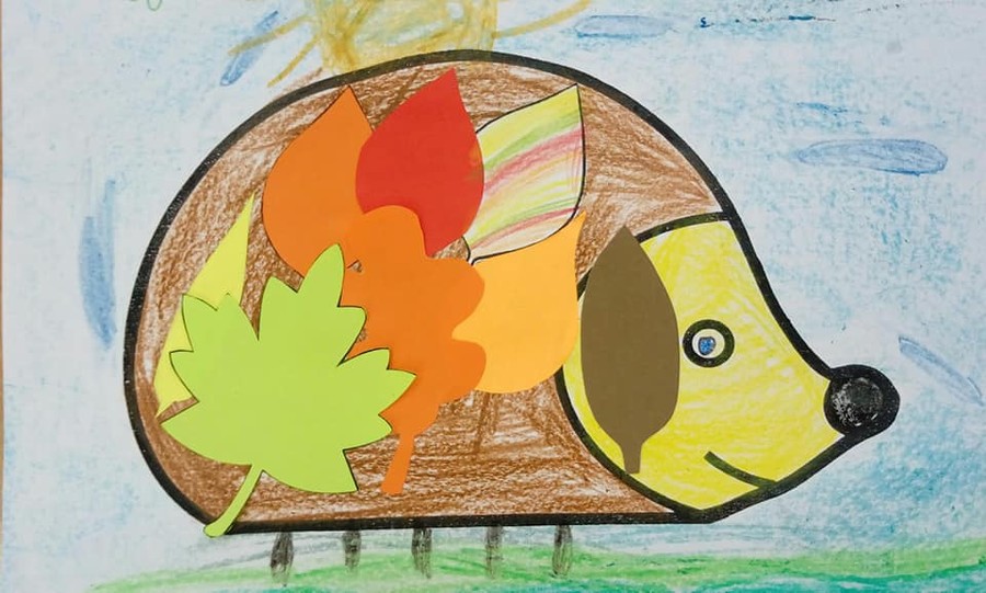 Dzień Jeża - 13.11.2019 WPK