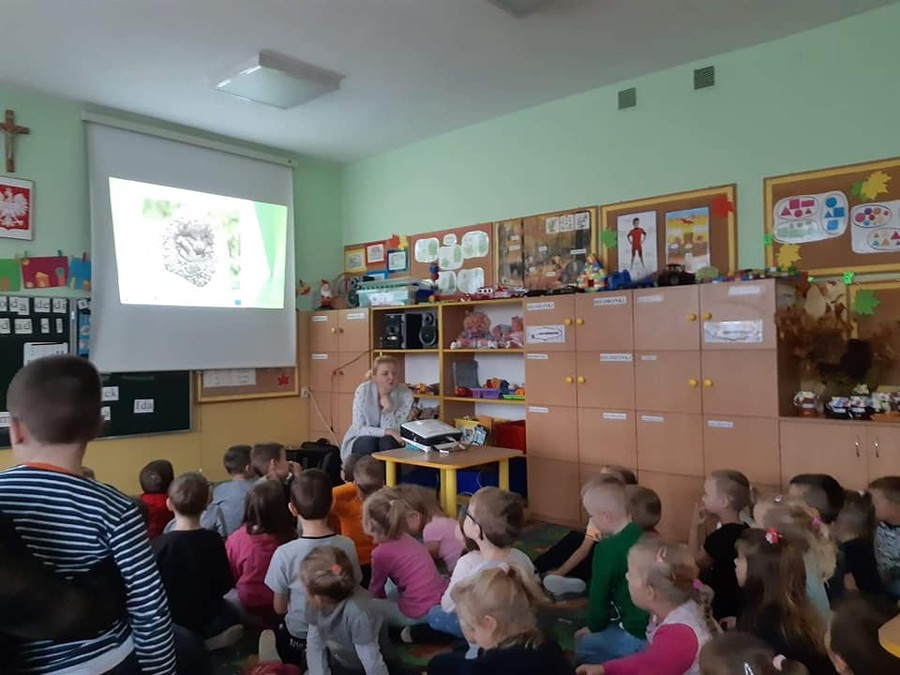 Dzień Jeża - 13.11.2019 WPK