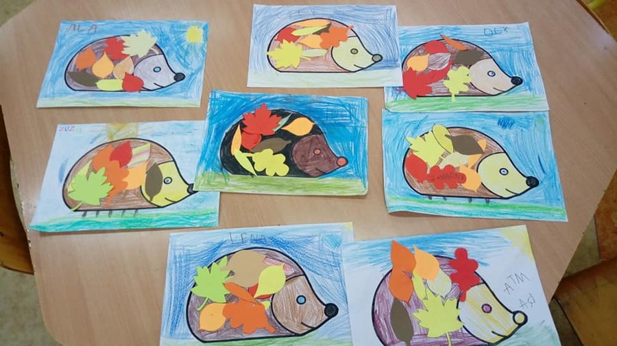 Dzień Jeża - 13.11.2019 WPK