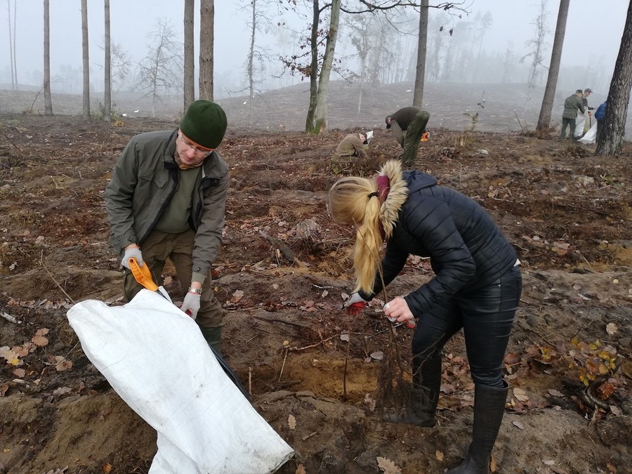 Sadzenie lasu - 15.11.2019 KPK