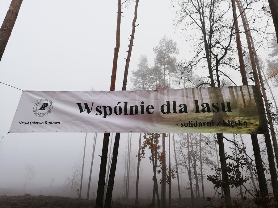 Sadzenie lasu - 15.11.2019 KPK